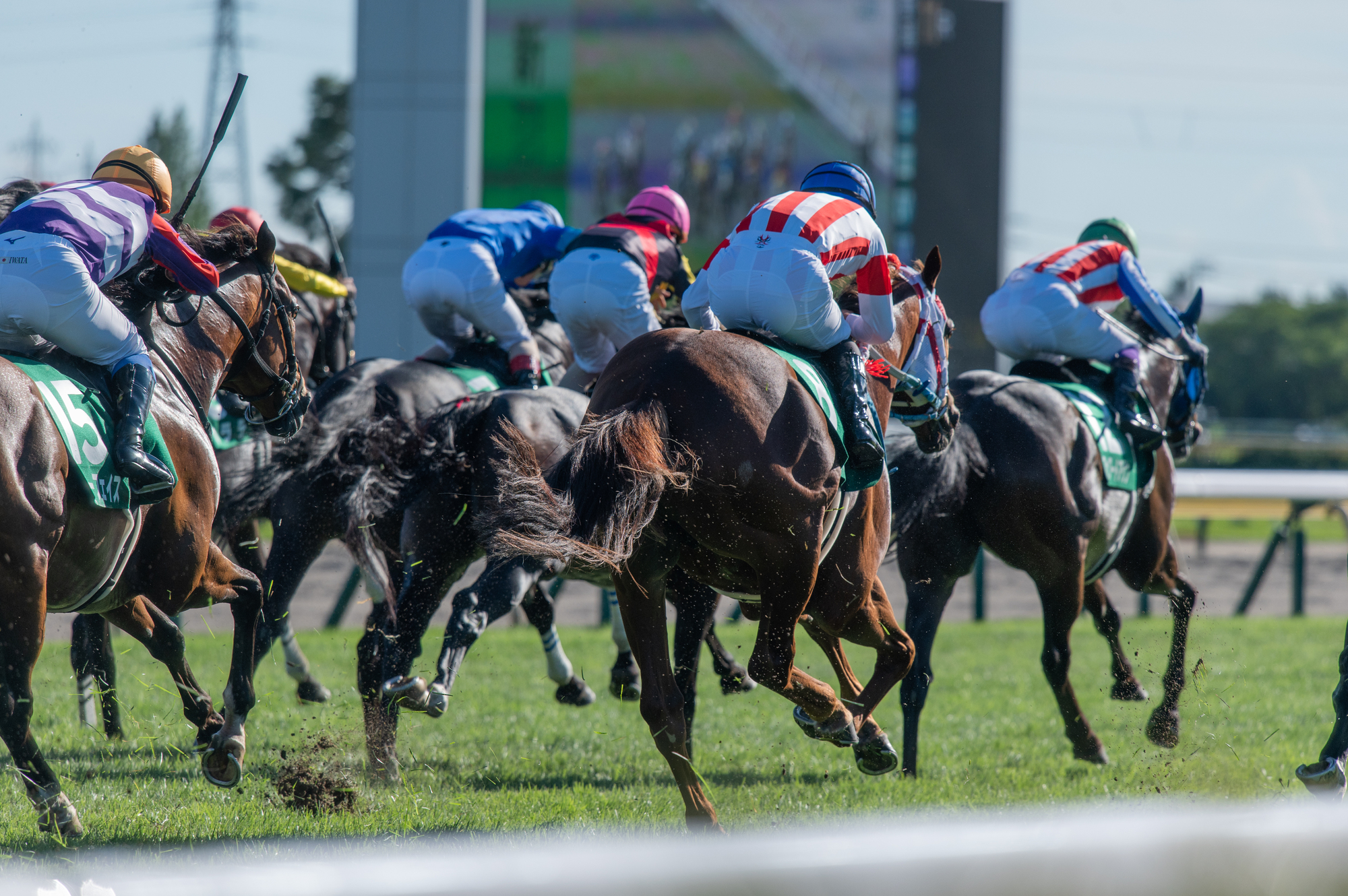 競馬の借金がやばい！競馬辞められない・・・ LingoTimes